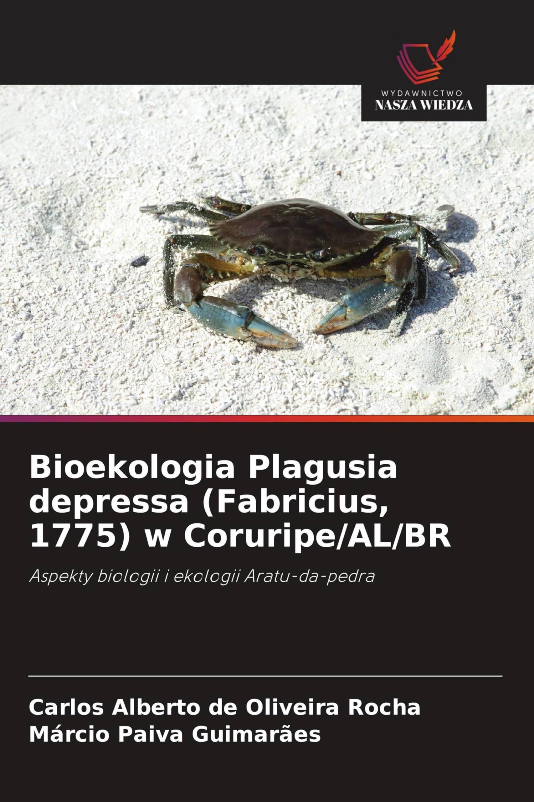 Bioekologia Plagusia depressa (Fabricius, 1775) w Coruripe/AL/BR Natural Sciences