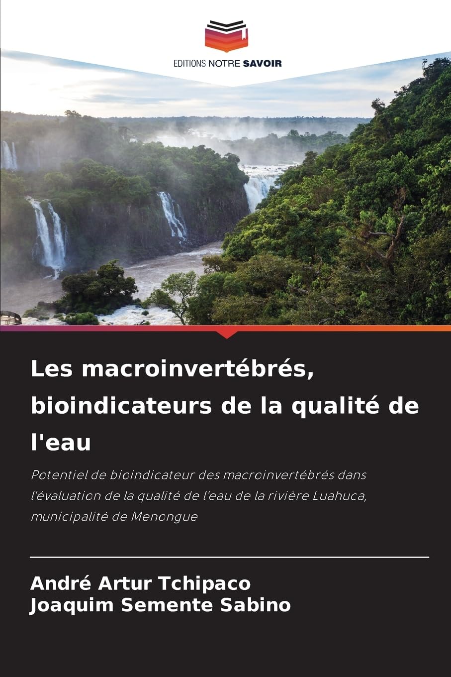 Les macroinvertébrés, bioindicateurs de la qualité de l'eau: Potentiel de bioindicateur des macroinvertébrés dans l'évaluation de la qualité de l'eau de la rivière Luahuca, municipalité de Menongue Natural Sciences