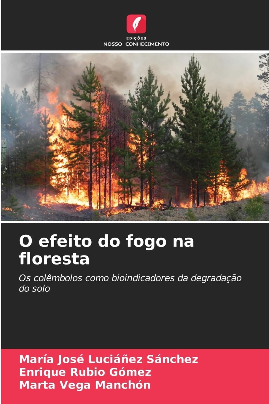 O efeito do fogo na floresta Natural Sciences