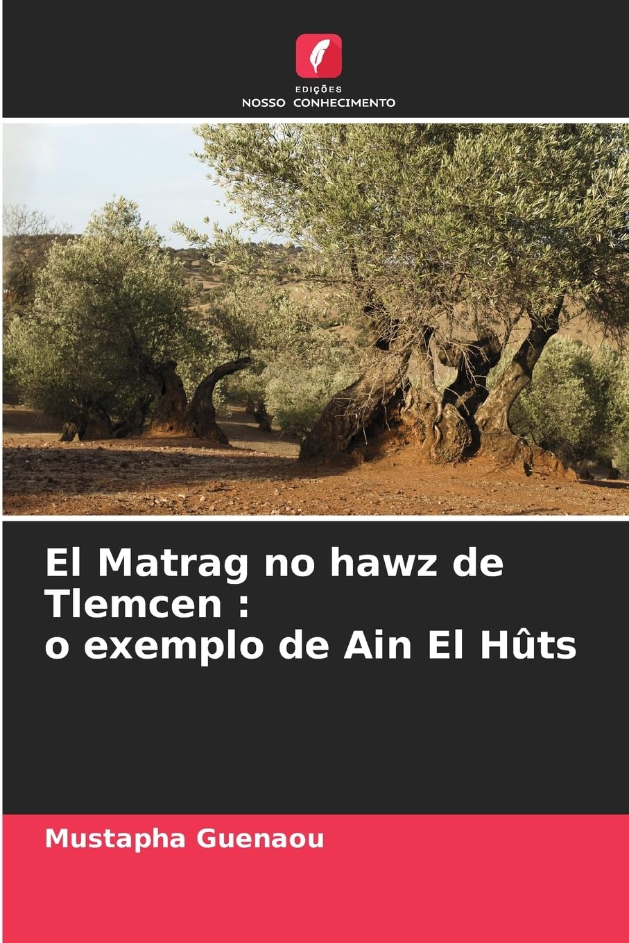 El Matrag no hawz de Tlemcen : o exemplo de Ain El Hûts Law