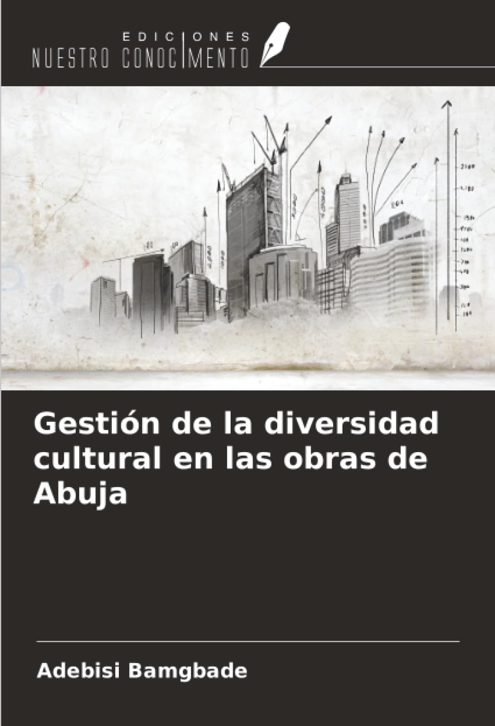 Gestión de la diversidad cultural en las obras de Abuja Business & Technology