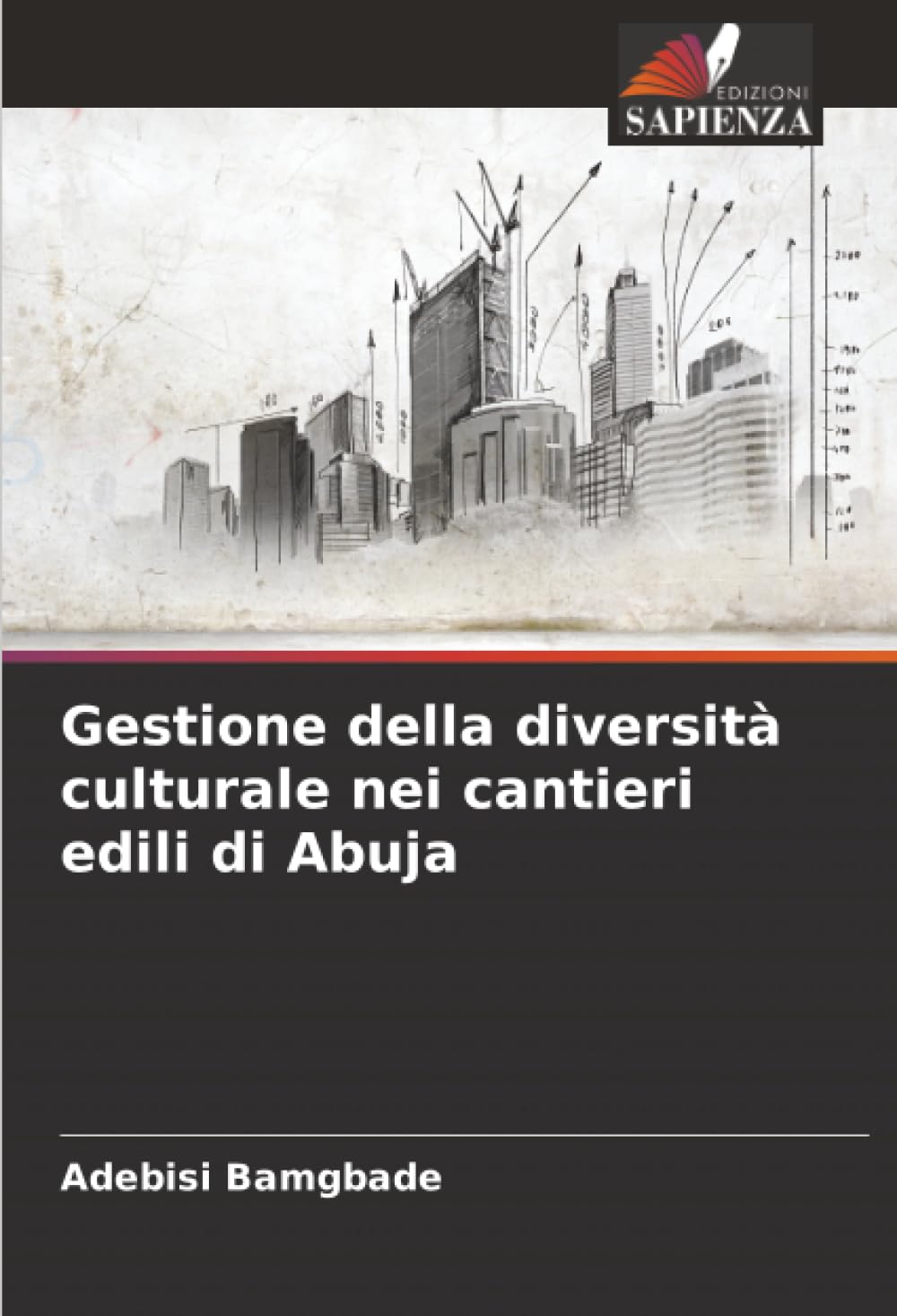 Gestione della diversità culturale nei cantieri edili di Abuja Business & Technology