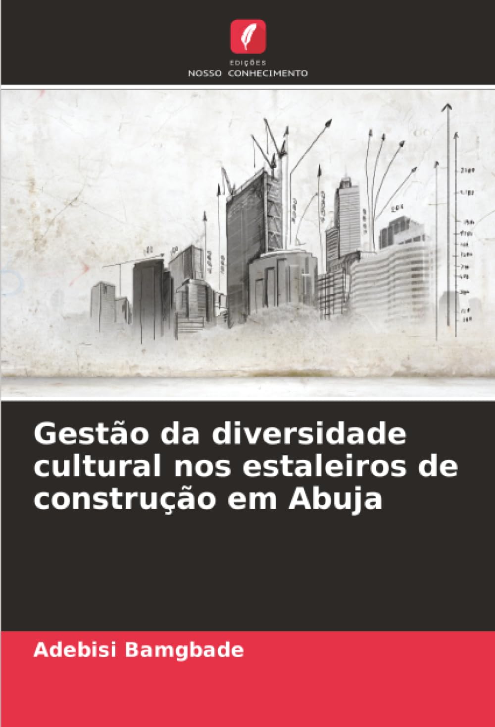 Gestão da diversidade cultural nos estaleiros de construção em Abuja Business & Technology