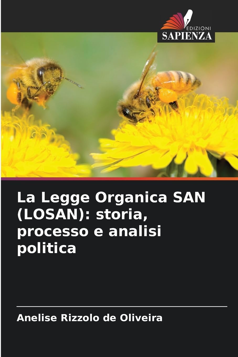 La Legge Organica SAN (LOSAN): storia, processo e analisi politica Law