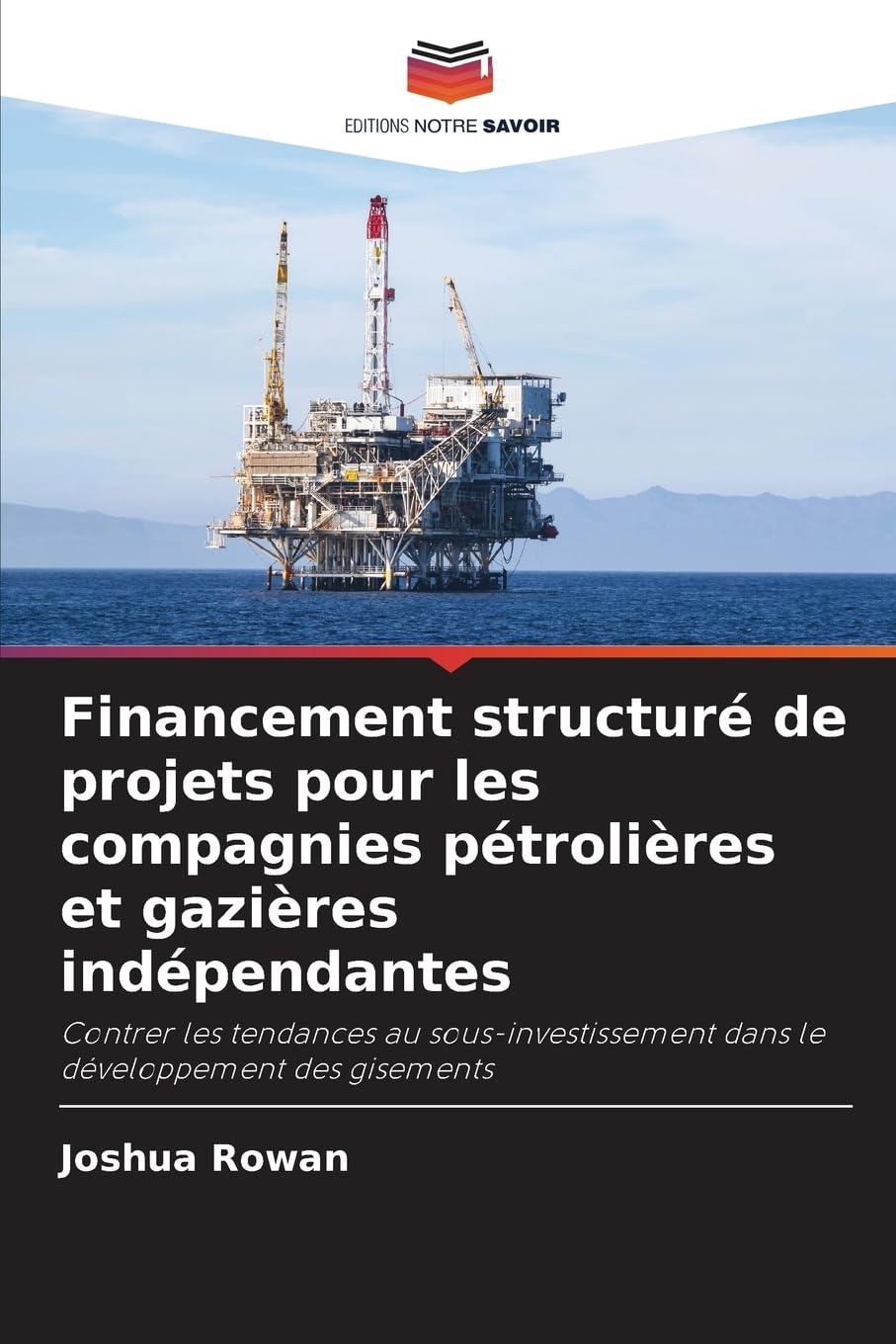 Financement structuré de projets pour les compagnies pétrolières et gazières indépendantes: Contrer les tendances au sous-investissement dans le développement des gisements book