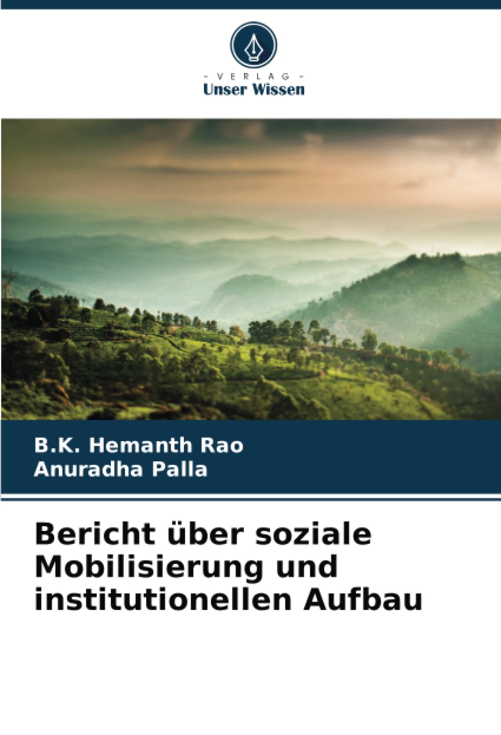 Bericht über soziale Mobilisierung und institutionellen Aufbau Law