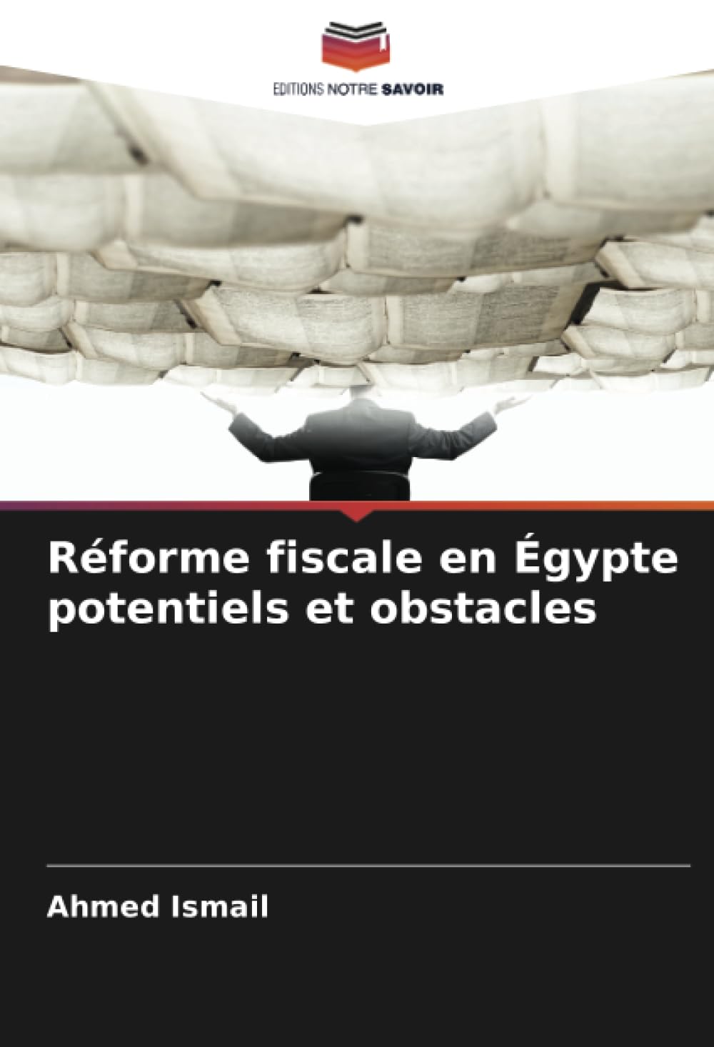 Réforme fiscale en Égypte potentiels et obstacles Law