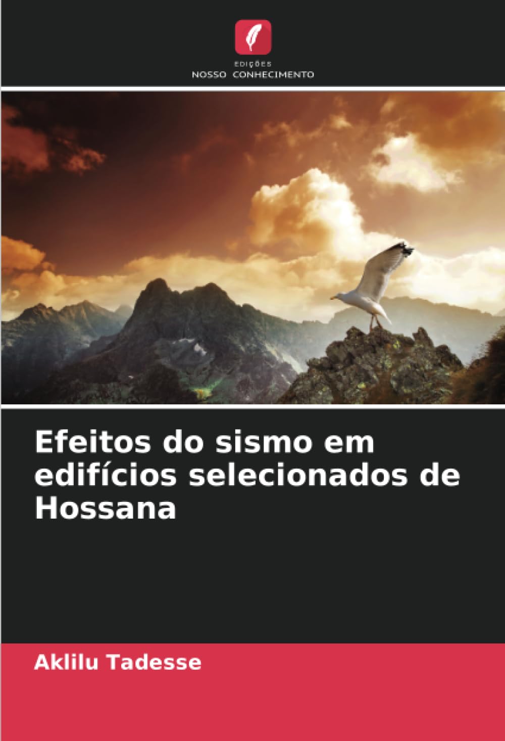 Efeitos do sismo em edifícios selecionados de Hossana Business, Finance & Career