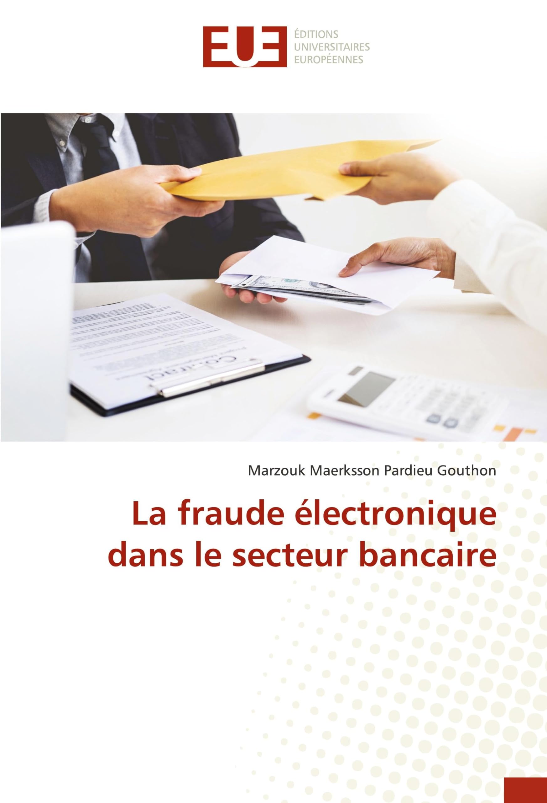 La fraude électronique dans le secteur bancaire book