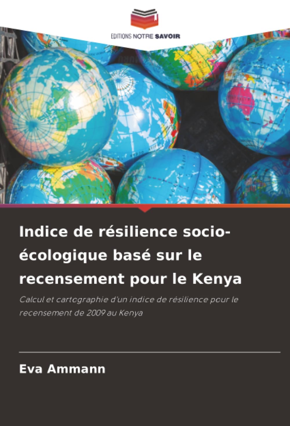 Indice de résilience socio-écologique basé sur le recensement pour le Kenya: Calcul et cartographie d'un indice de résilience pour le recensement de 2009 au Kenya.DE Business & Technology