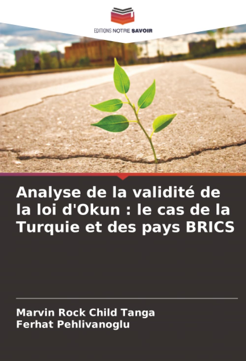 Analyse de la validité de la loi d'Okun : le cas de la Turquie et des pays BRICS Law