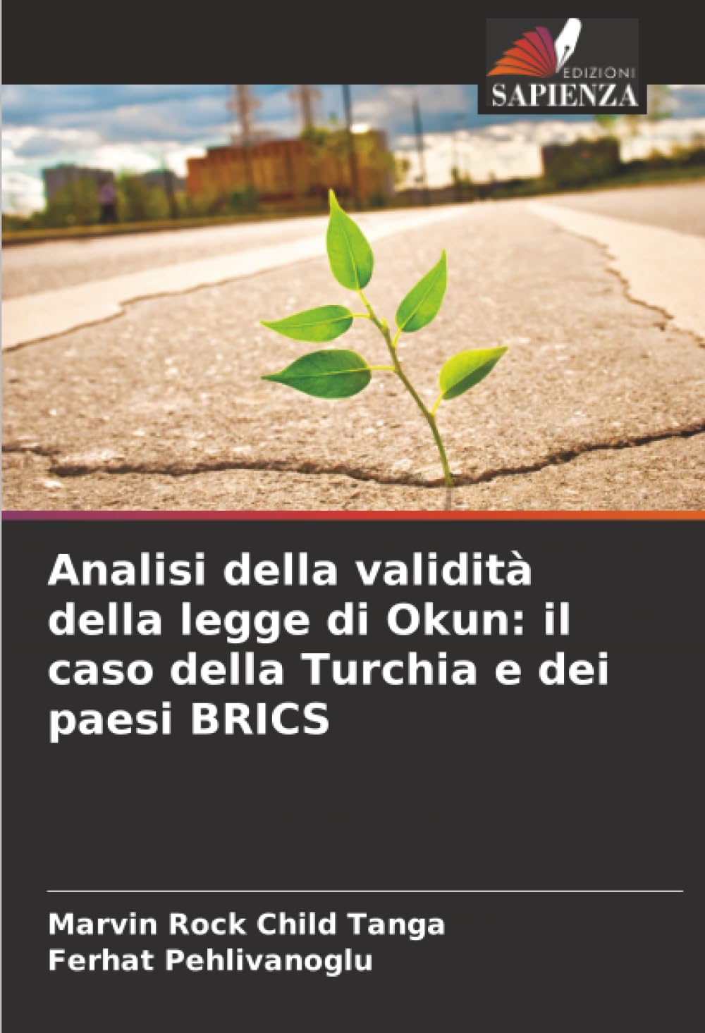 Analisi della validità della legge di Okun: il caso della Turchia e dei paesi BRICS Law