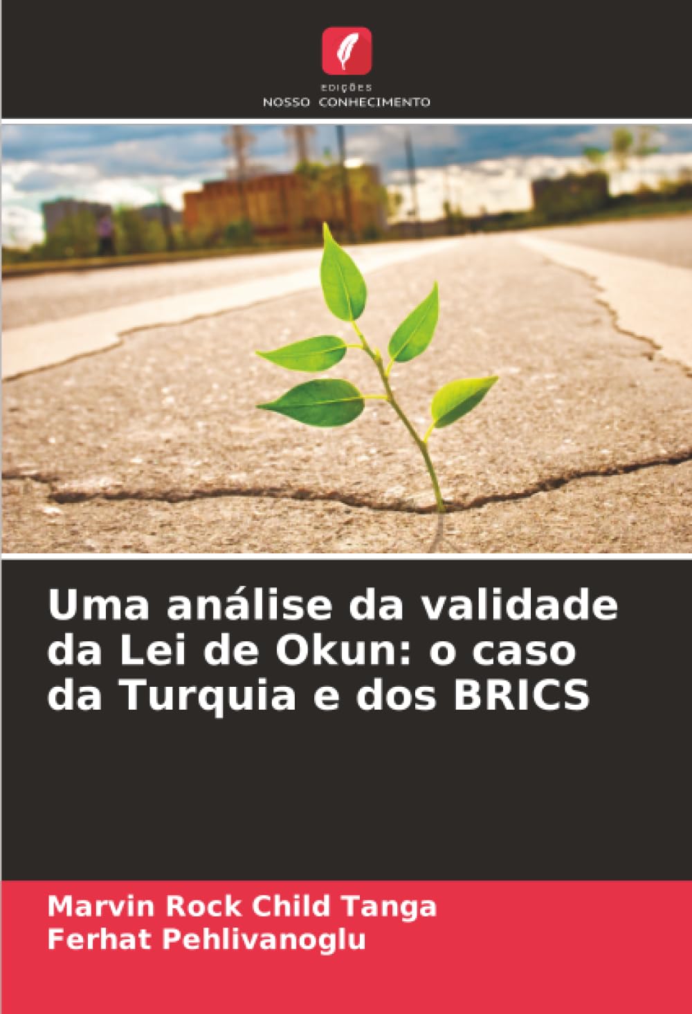 Uma análise da validade da Lei de Okun: o caso da Turquia e dos BRICS Law