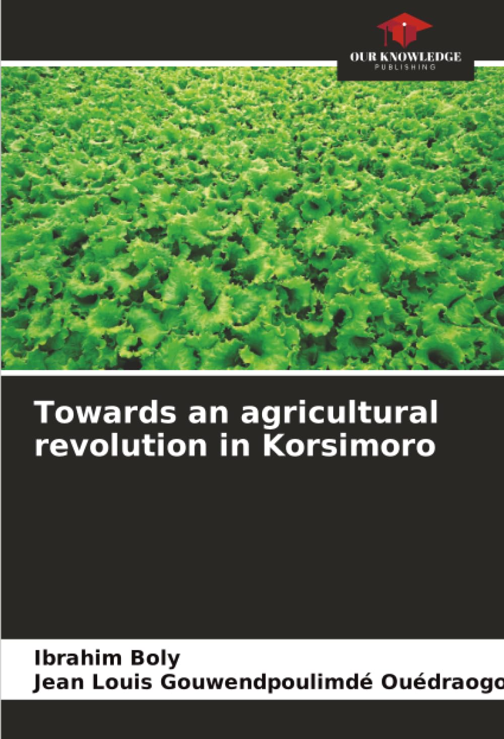 Towards an agricultural revolution in Korsimoro Law