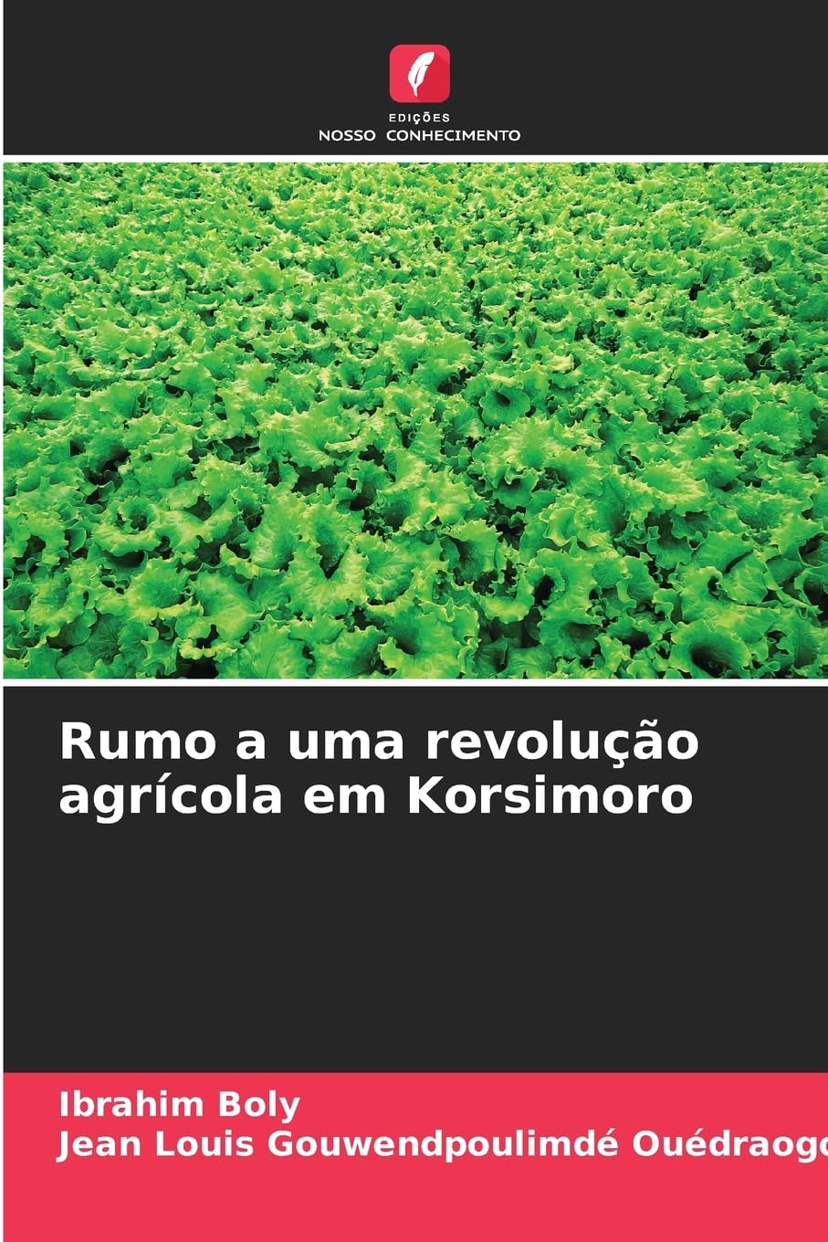 Rumo a uma revolução agrícola em Korsimoro Law
