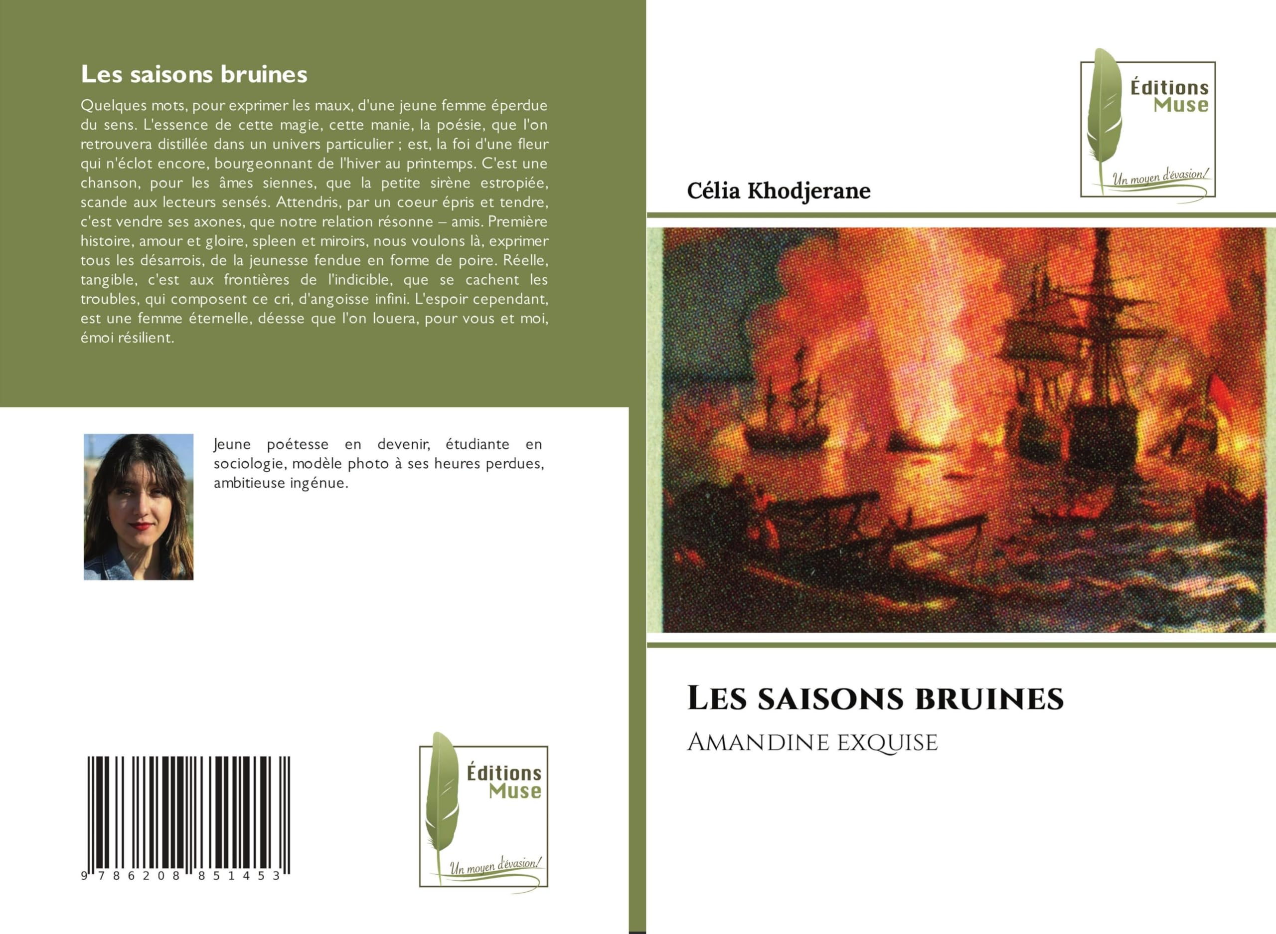 Product Image: Les saisons bruines