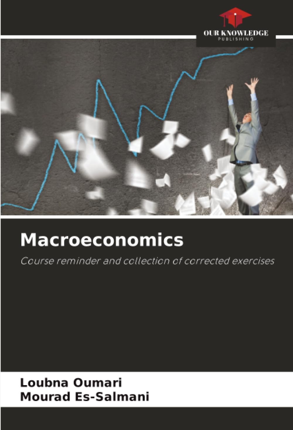 Product Image: Macroeconomics