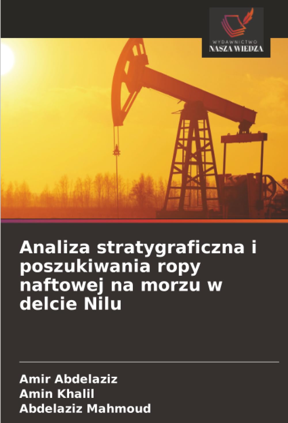 Analiza stratygraficzna i poszukiwania ropy naftowej na morzu w delcie Nilu Business & Technology