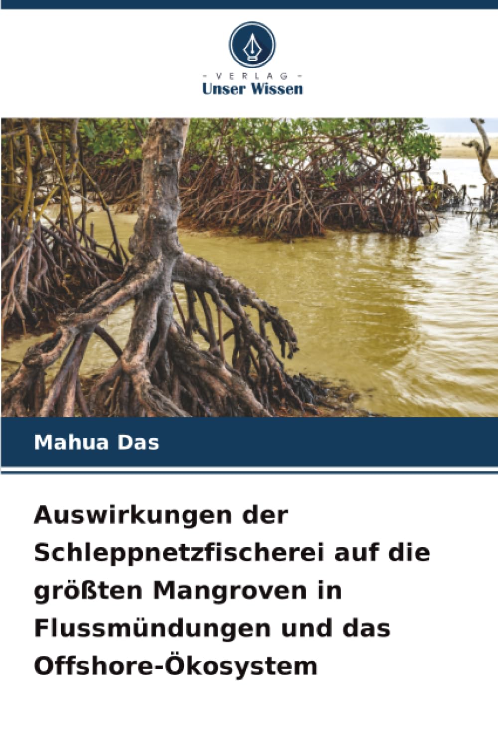 Auswirkungen der Schleppnetzfischerei auf die größten Mangroven in Flussmündungen und das Offshore-Ökosystem Business & Technology