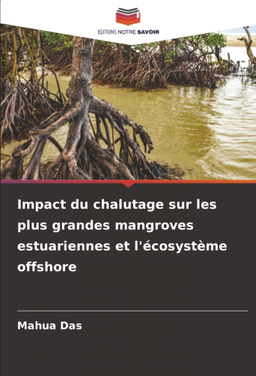 Impact du chalutage sur les plus grandes mangroves estuariennes et l'écosystème offshore Business & Technology