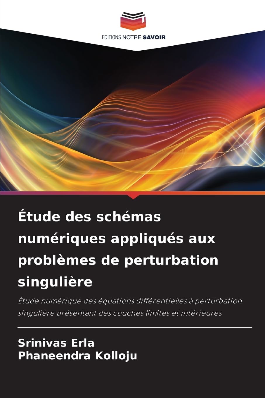 Étude des schémas numériques appliqués aux problèmes de perturbation singulière: Étude numérique des équations différentielles à perturbation singulière présentant des couches limites et intérieures Mathematics