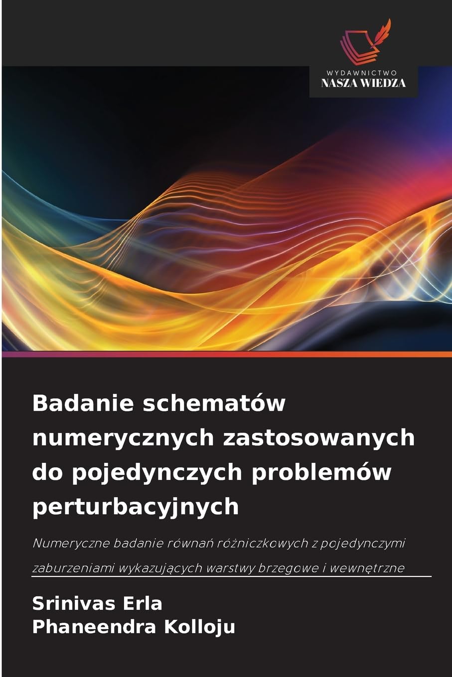Badanie schematów numerycznych zastosowanych do pojedynczych problemów perturbacyjnych Mathematics