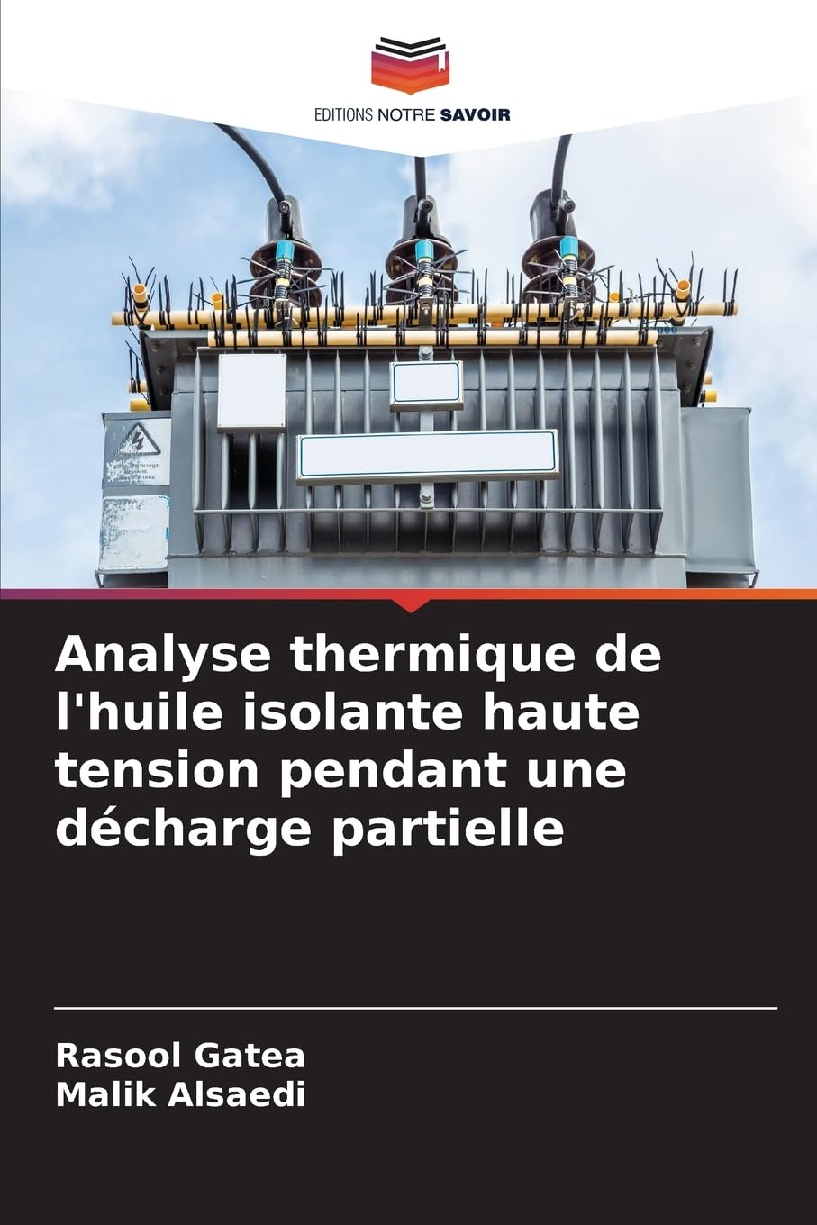 Analyse thermique de l'huile isolante haute tension pendant une décharge partielle Natural Sciences