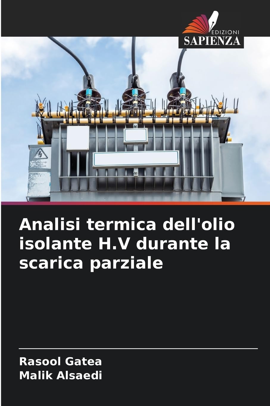 Analisi termica dell'olio isolante H.V durante la scarica parziale Natural Sciences