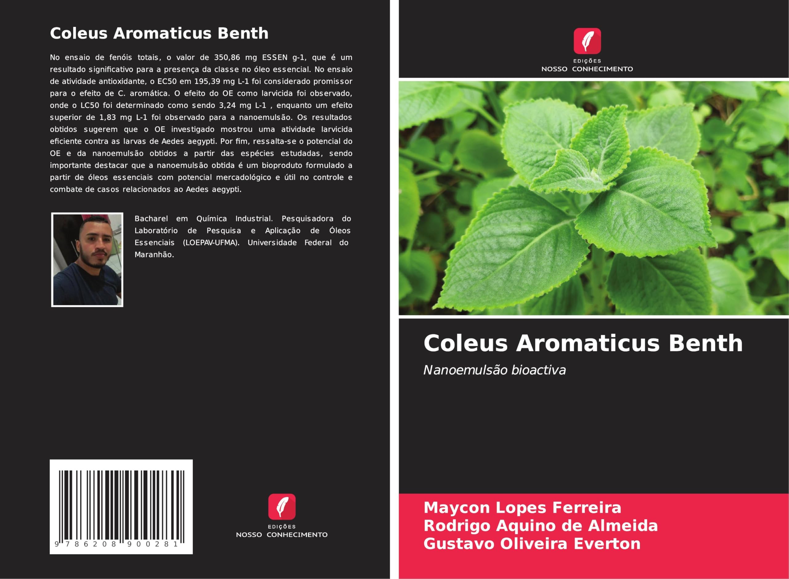 Product Image: Coleus Aromaticus Benth