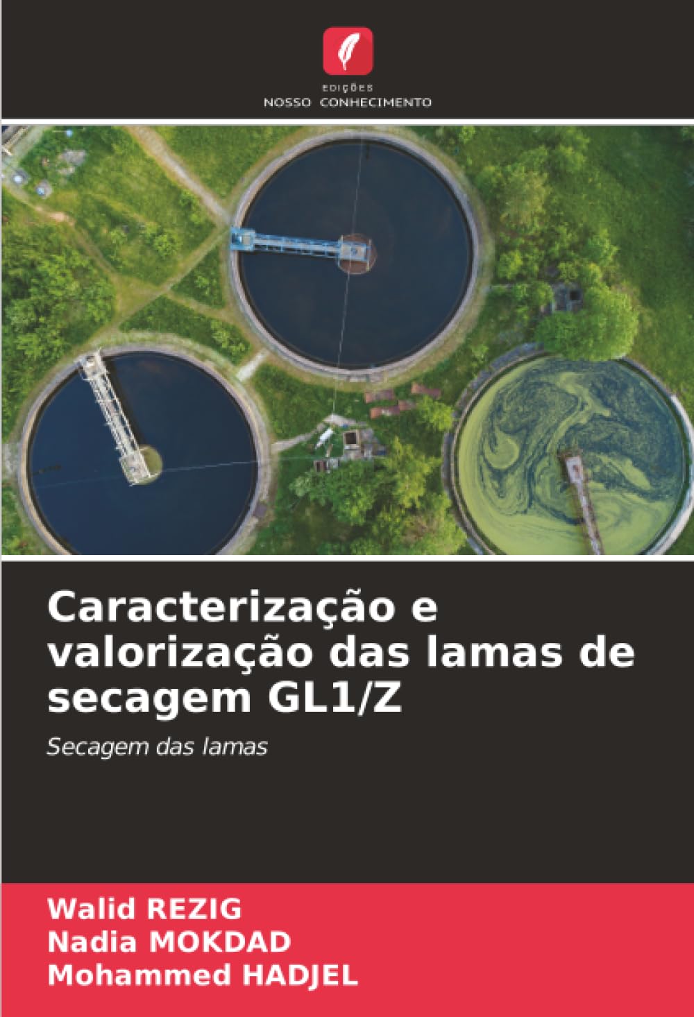 Caracterização e valorização das lamas de secagem GL1/Z Law