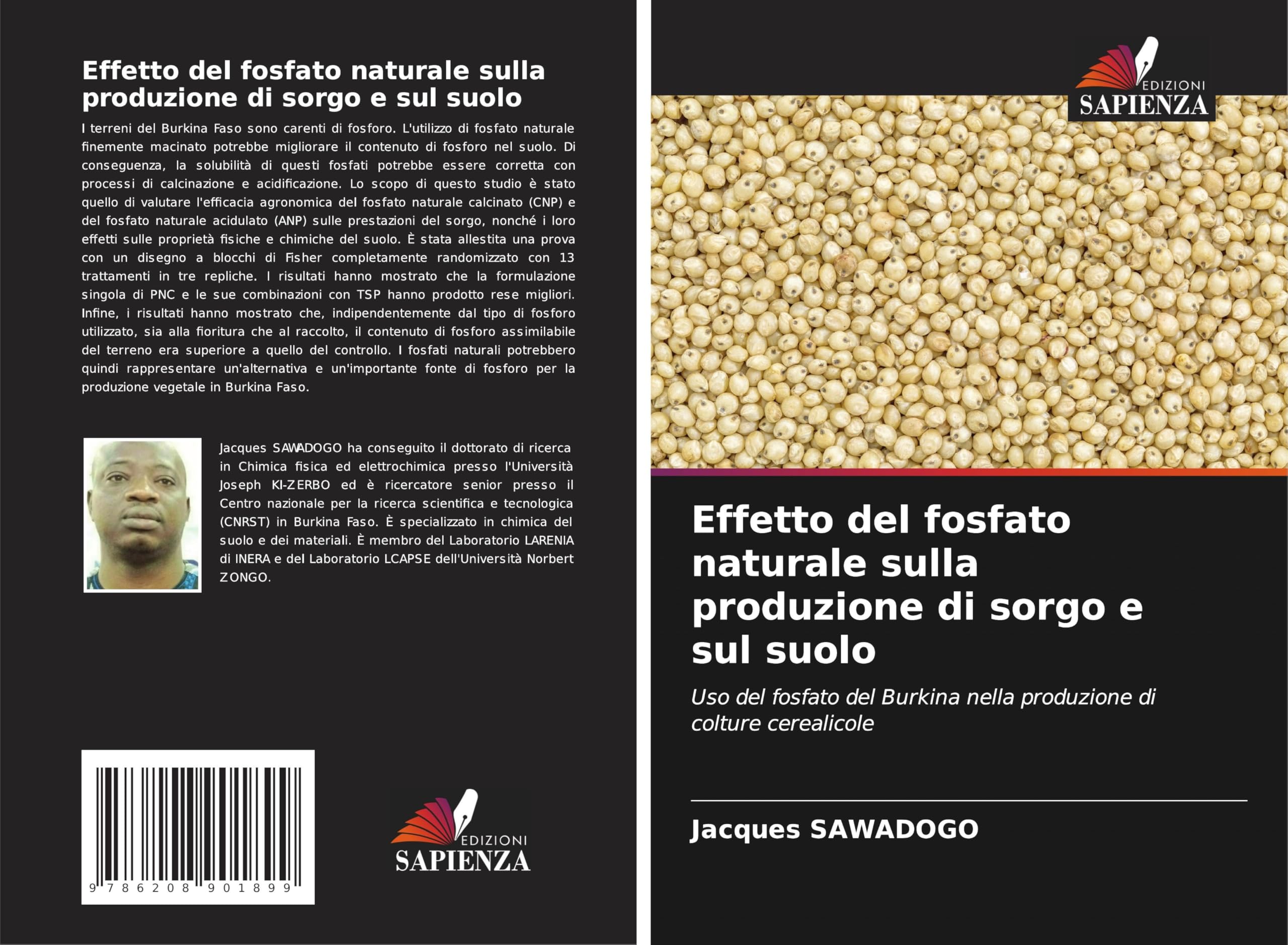Effetto del fosfato naturale sulla produzione di sorgo e sul suolo Natural Sciences
