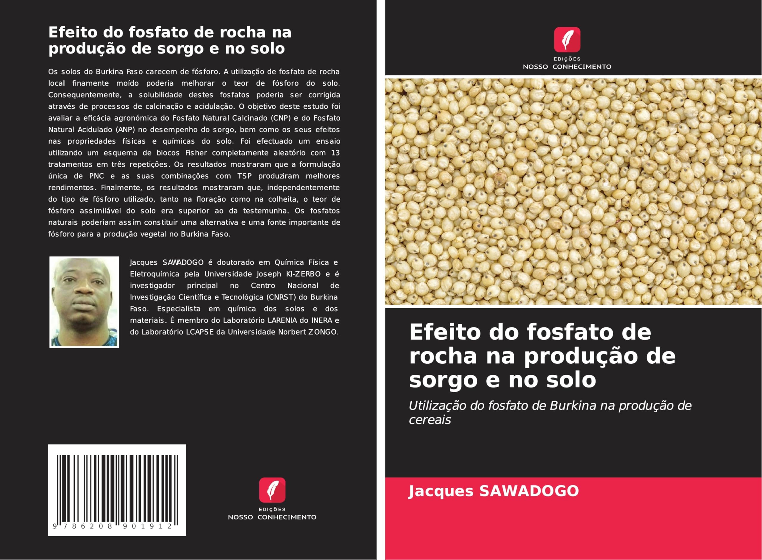 Efeito do fosfato de rocha na produção de sorgo e no solo Natural Sciences