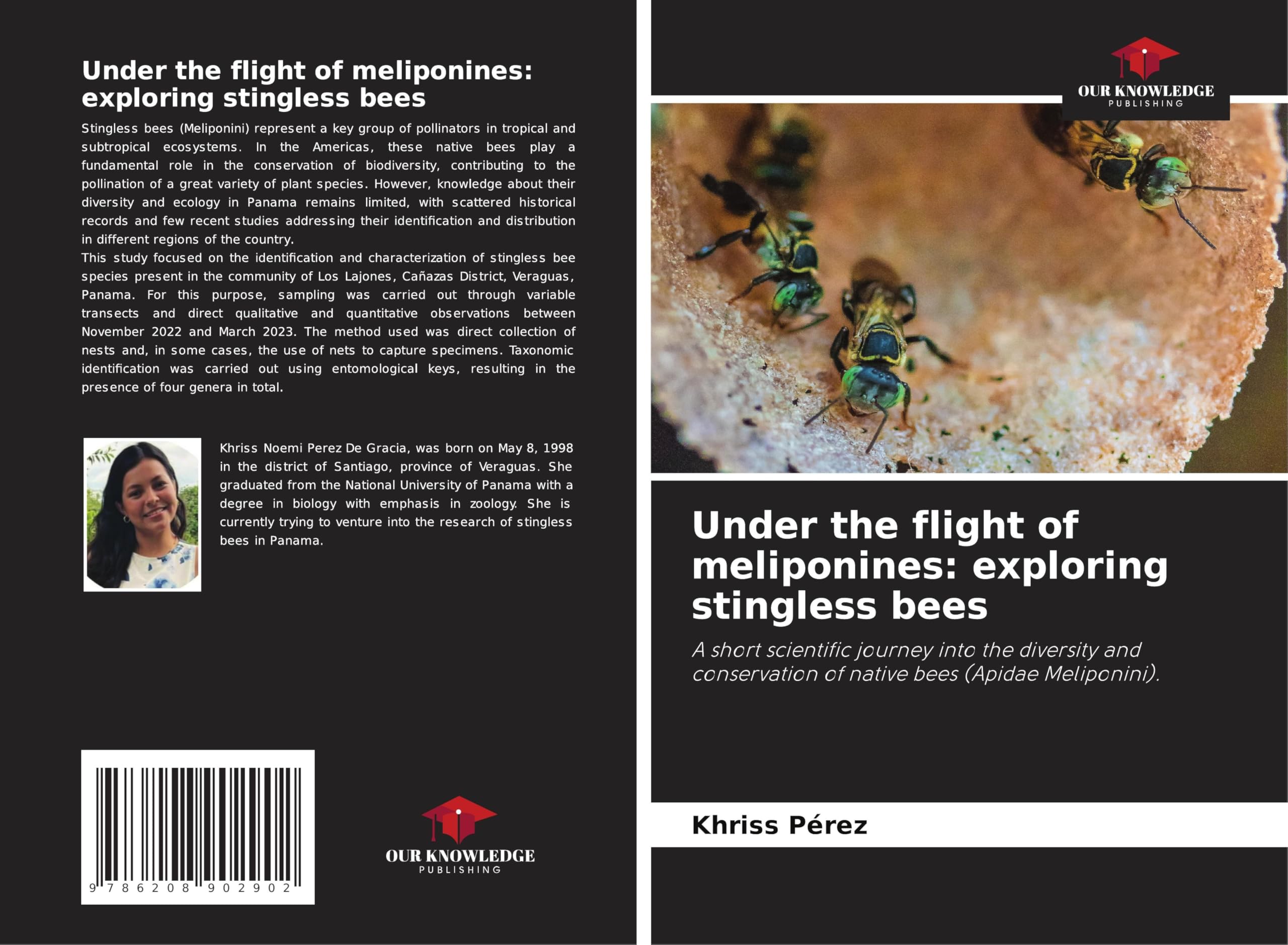 Under the flight of meliponines: exploring stingless bees: A short scientific journey into the diversity and conservation of native bees (Apidae Meliponini). Natural Sciences