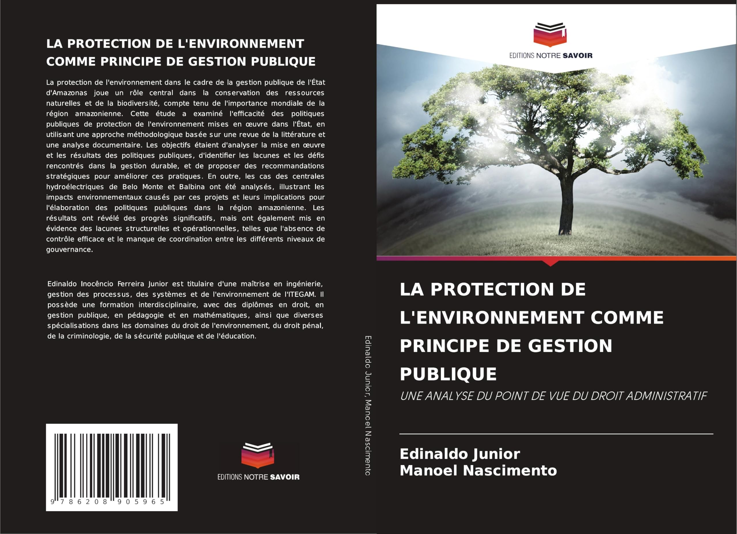 LA PROTECTION DE L'ENVIRONNEMENT COMME PRINCIPE DE GESTION PUBLIQUE Law