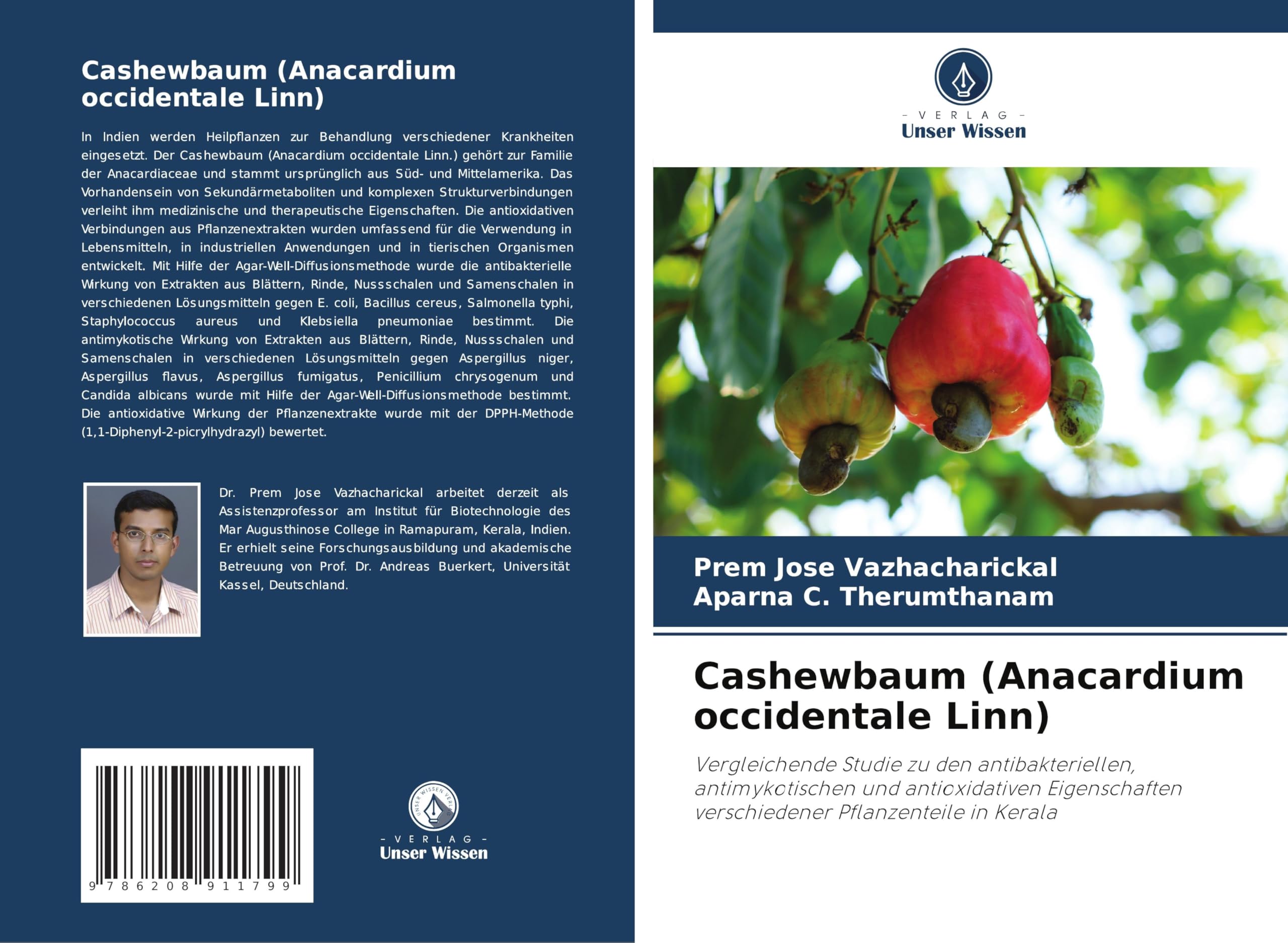 Cashewbaum (Anacardium occidentale Linn) Natural Sciences