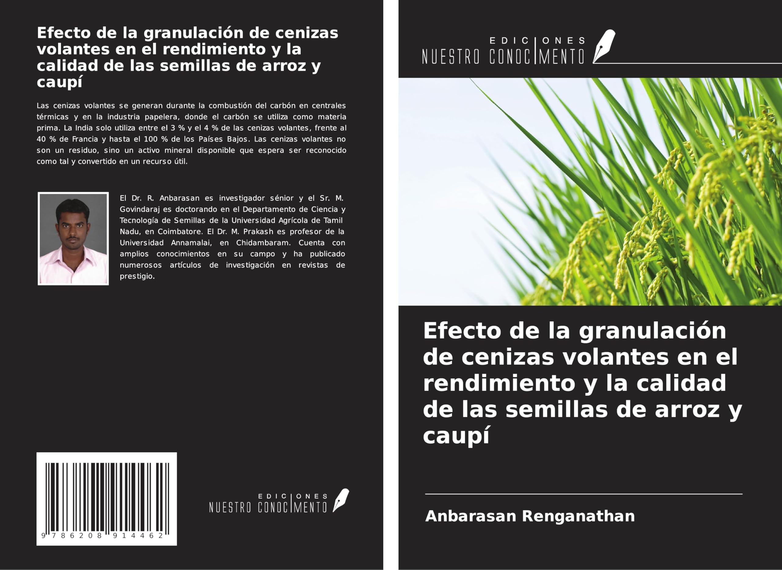 Efecto de la granulación de cenizas volantes en el rendimiento y la calidad de las semillas de arroz y caupí Natural Sciences