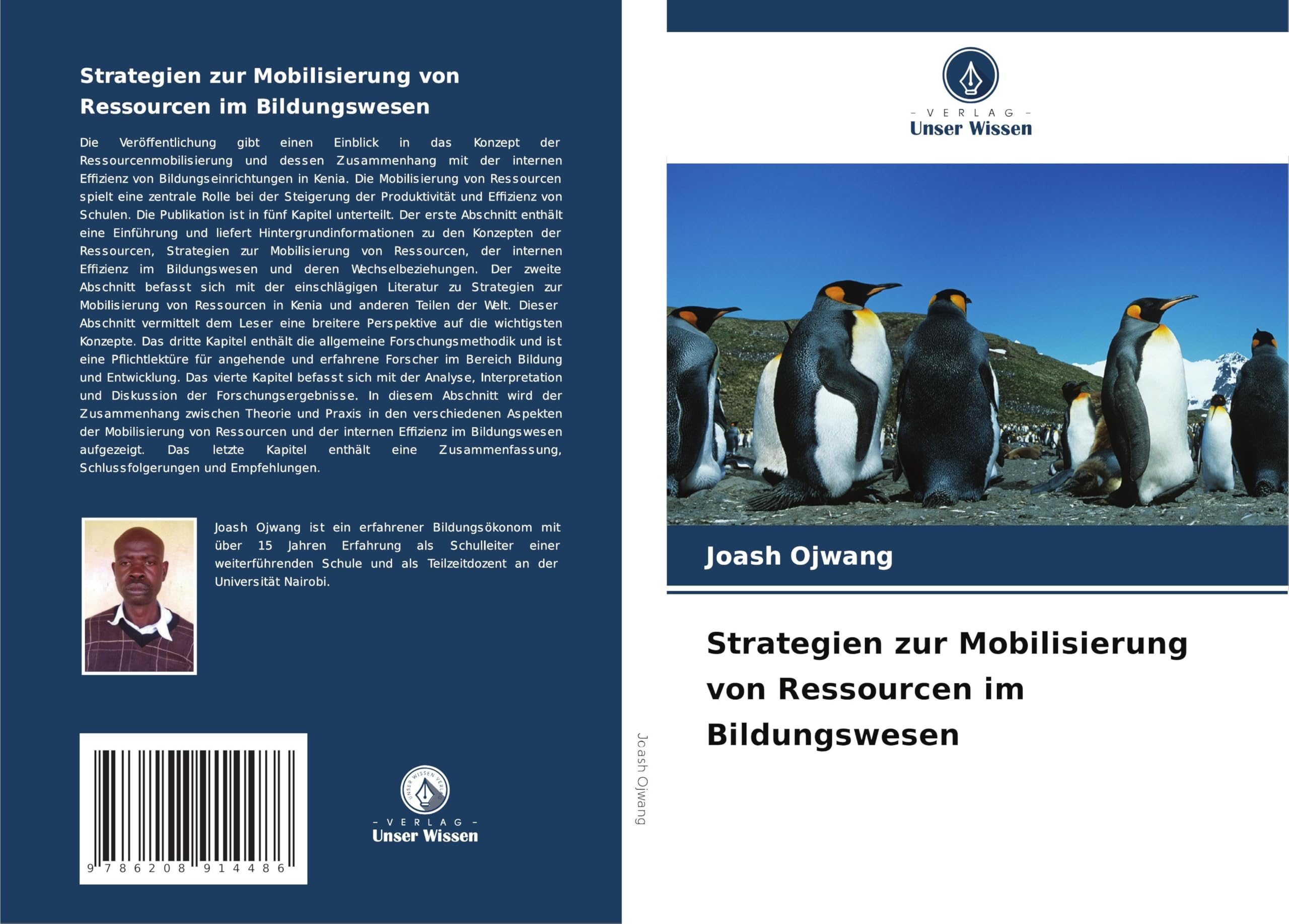 Strategien zur Mobilisierung von Ressourcen im Bildungswesen Books