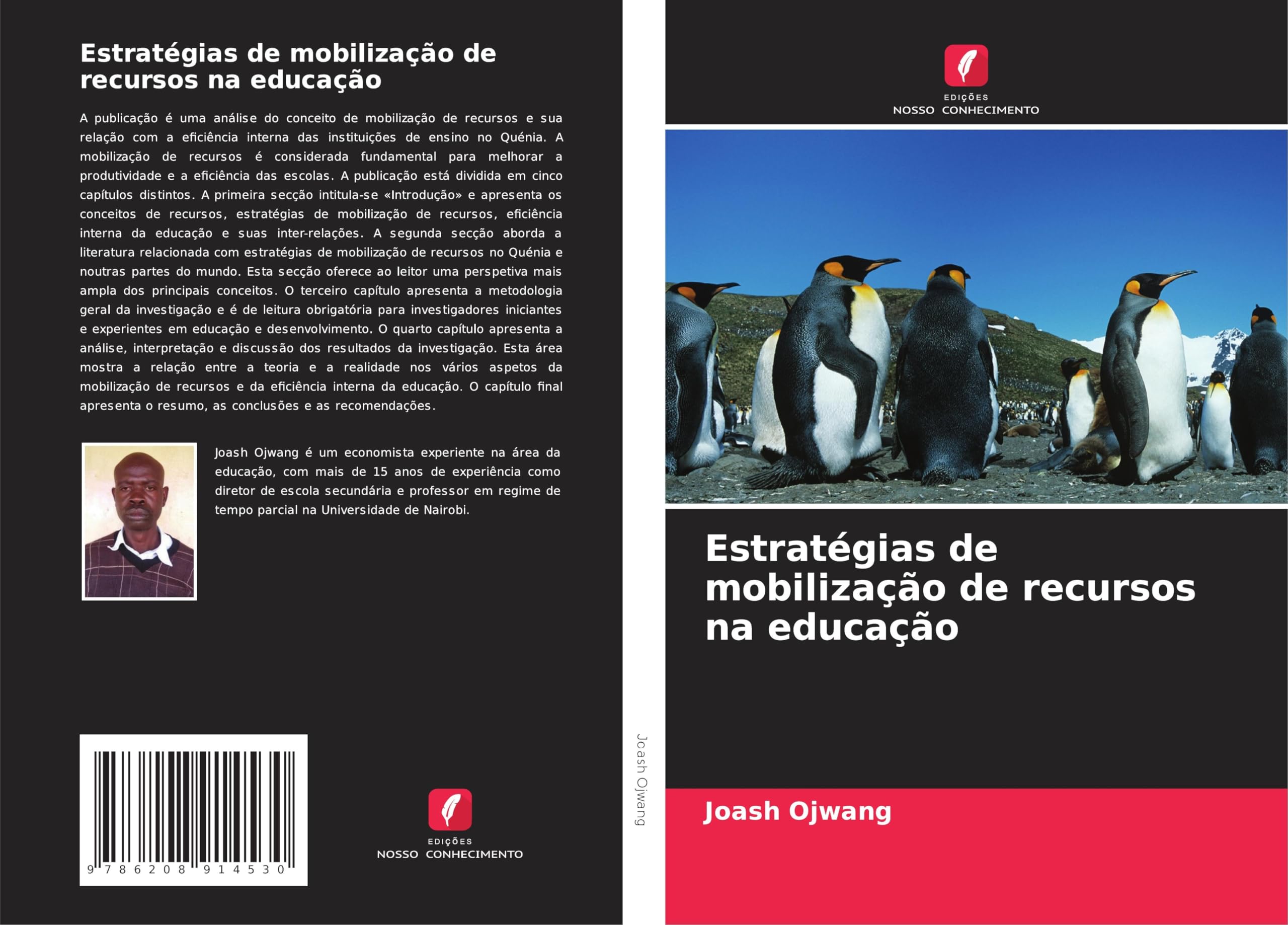 Estratégias de mobilização de recursos na educação Education & Training