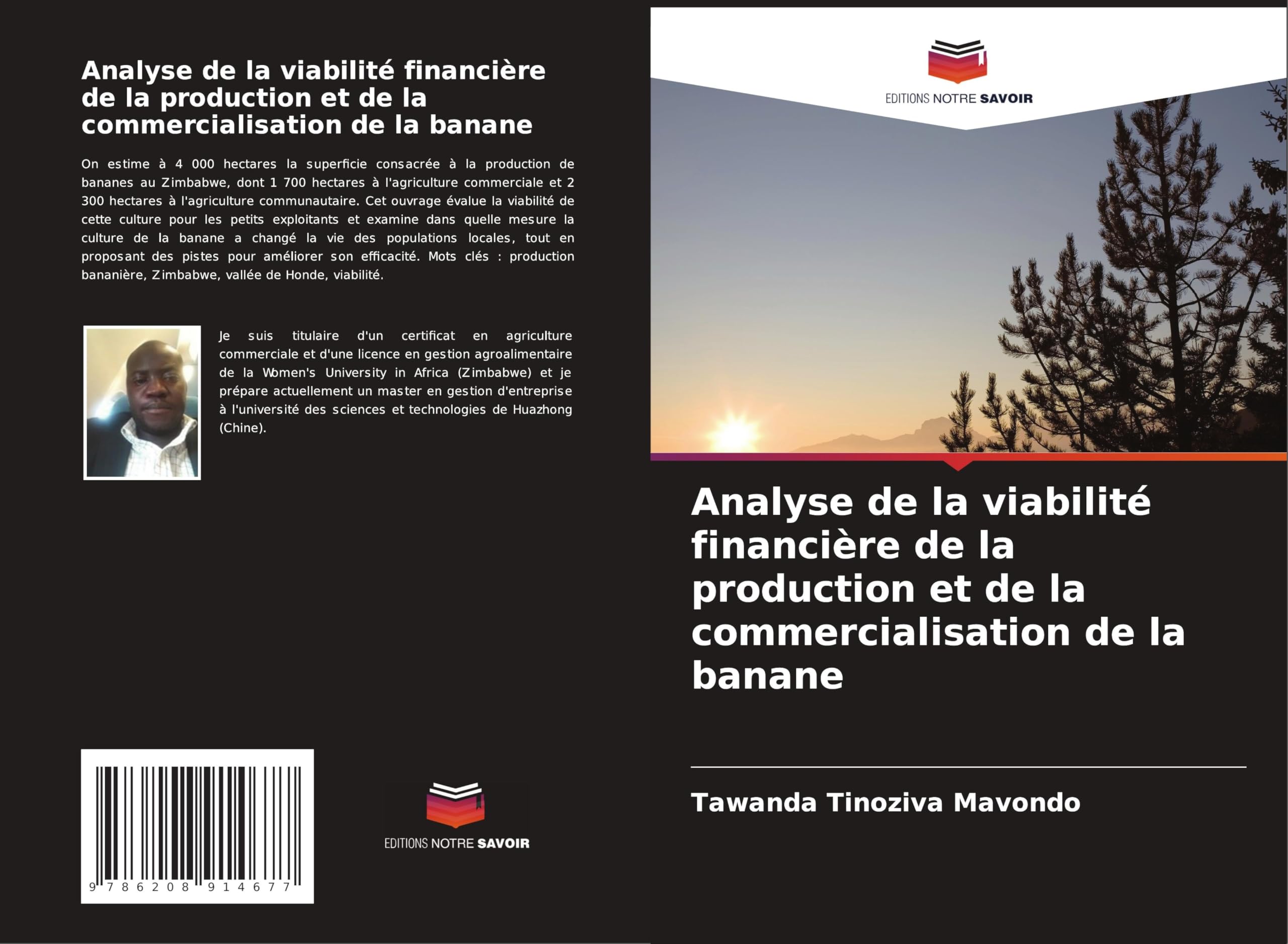 Analyse de la viabilité financière de la production et de la commercialisation de la banane Law