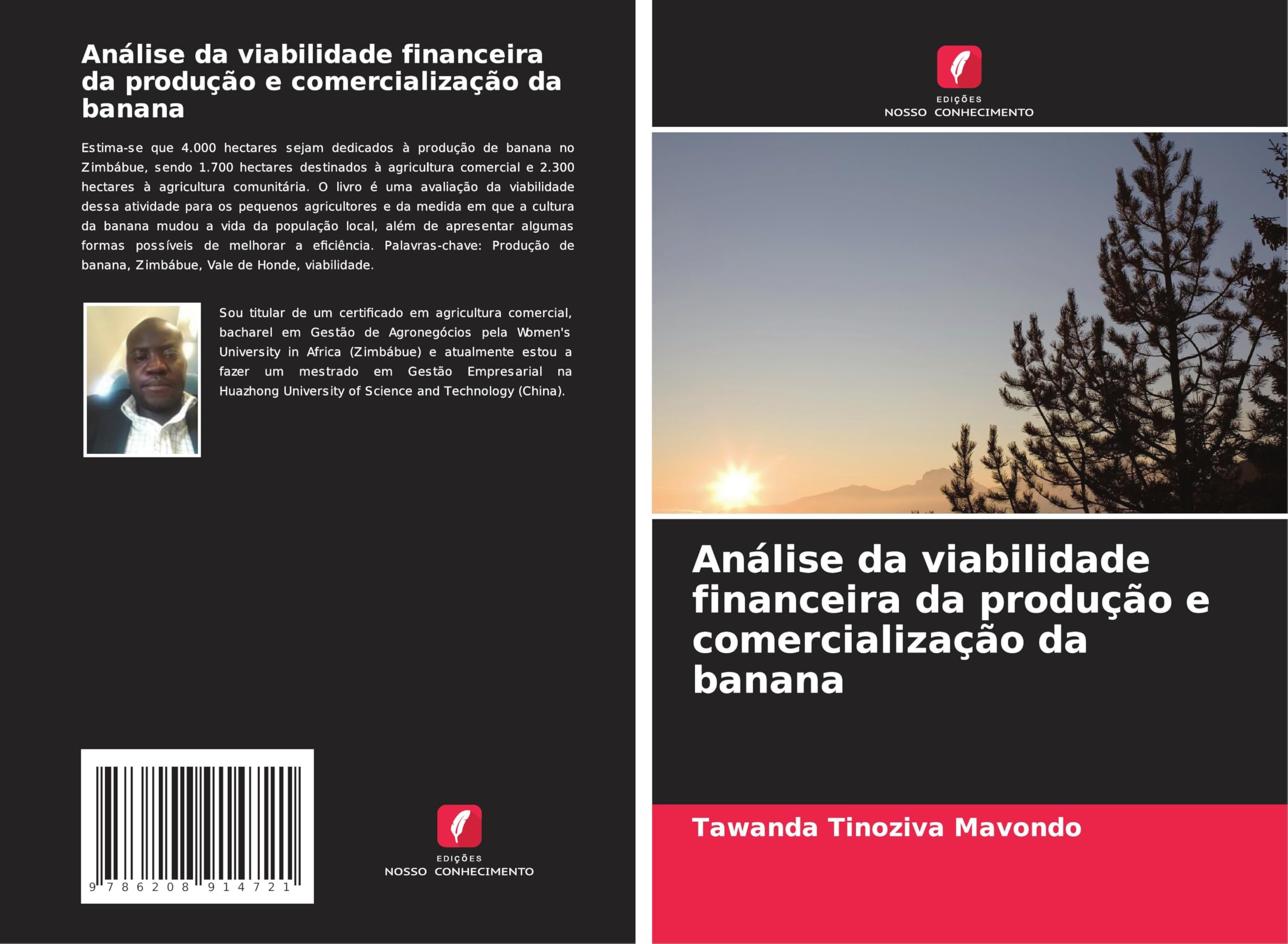 Análise da viabilidade financeira da produção e comercialização da banana Law