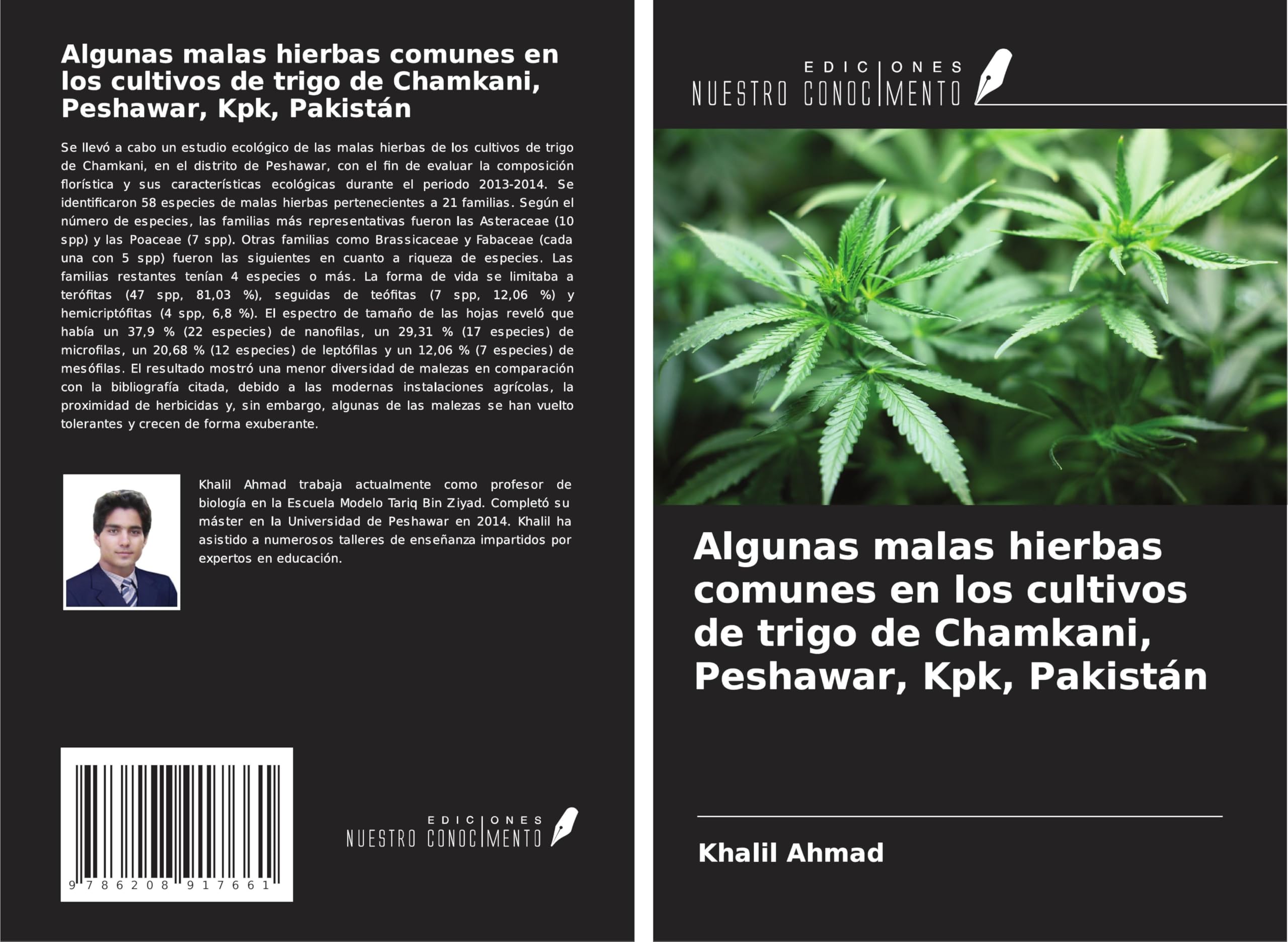 Algunas malas hierbas comunes en los cultivos de trigo de Chamkani, Peshawar, Kpk, Pakistán Natural Sciences
