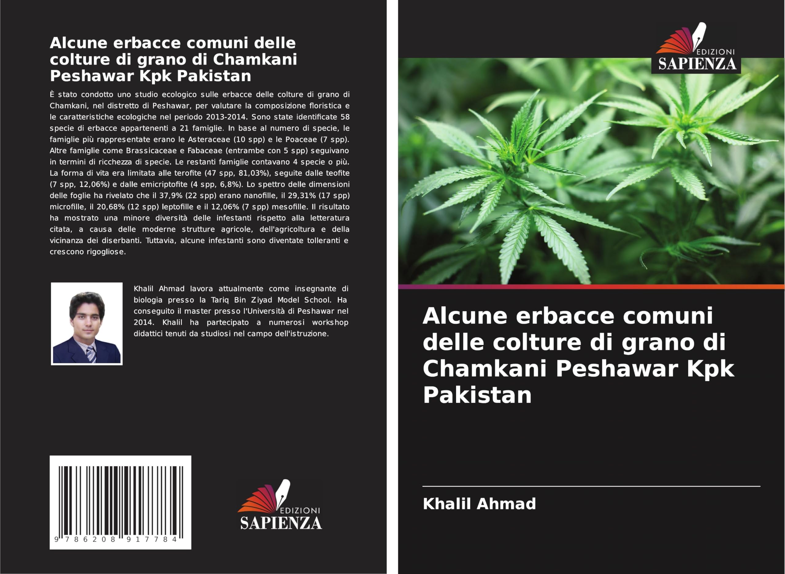 Alcune erbacce comuni delle colture di grano di Chamkani Peshawar Kpk Pakistan Natural Sciences