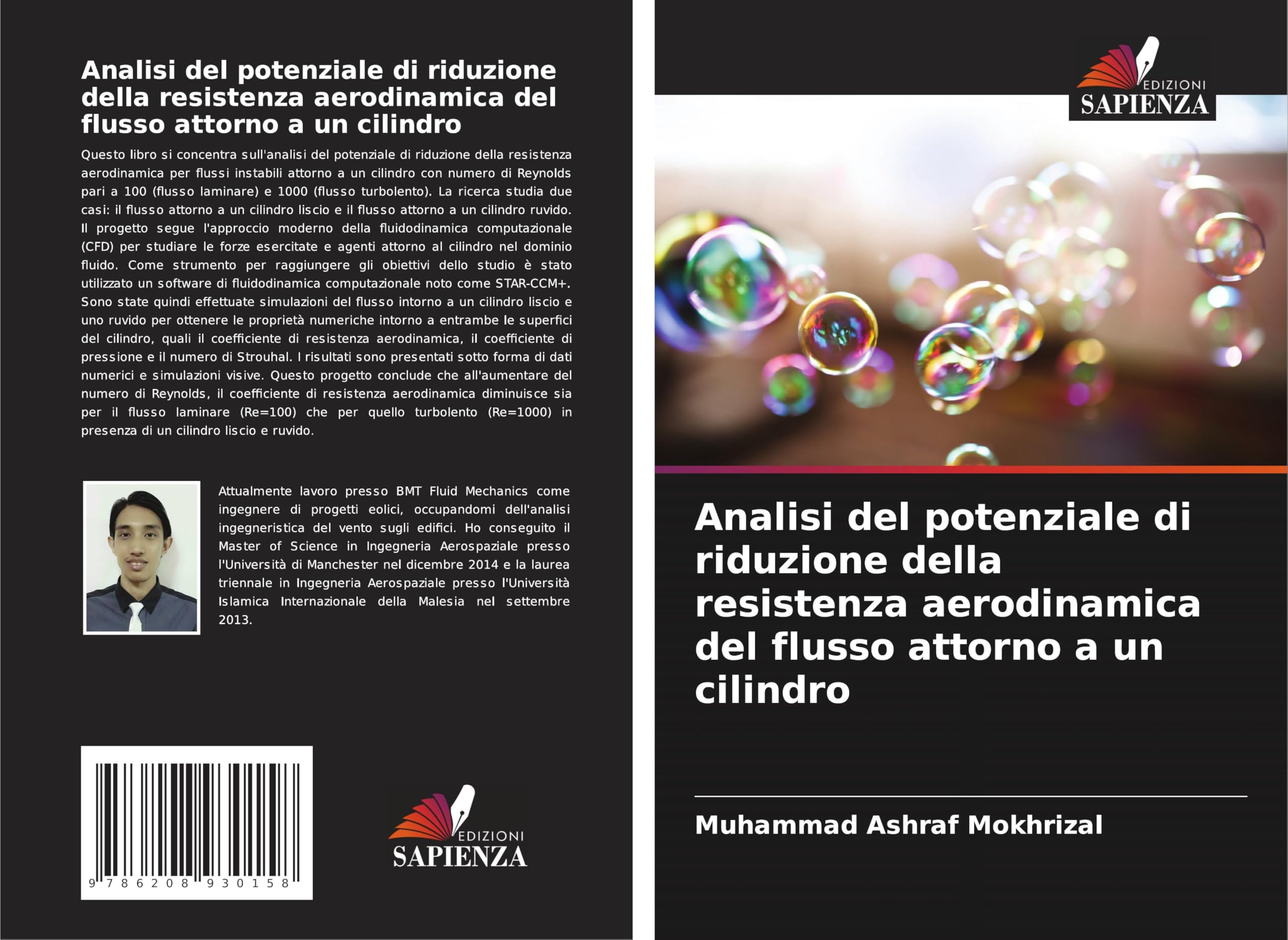 Analisi del potenziale di riduzione della resistenza aerodinamica del flusso attorno a un cilindro Natural Sciences