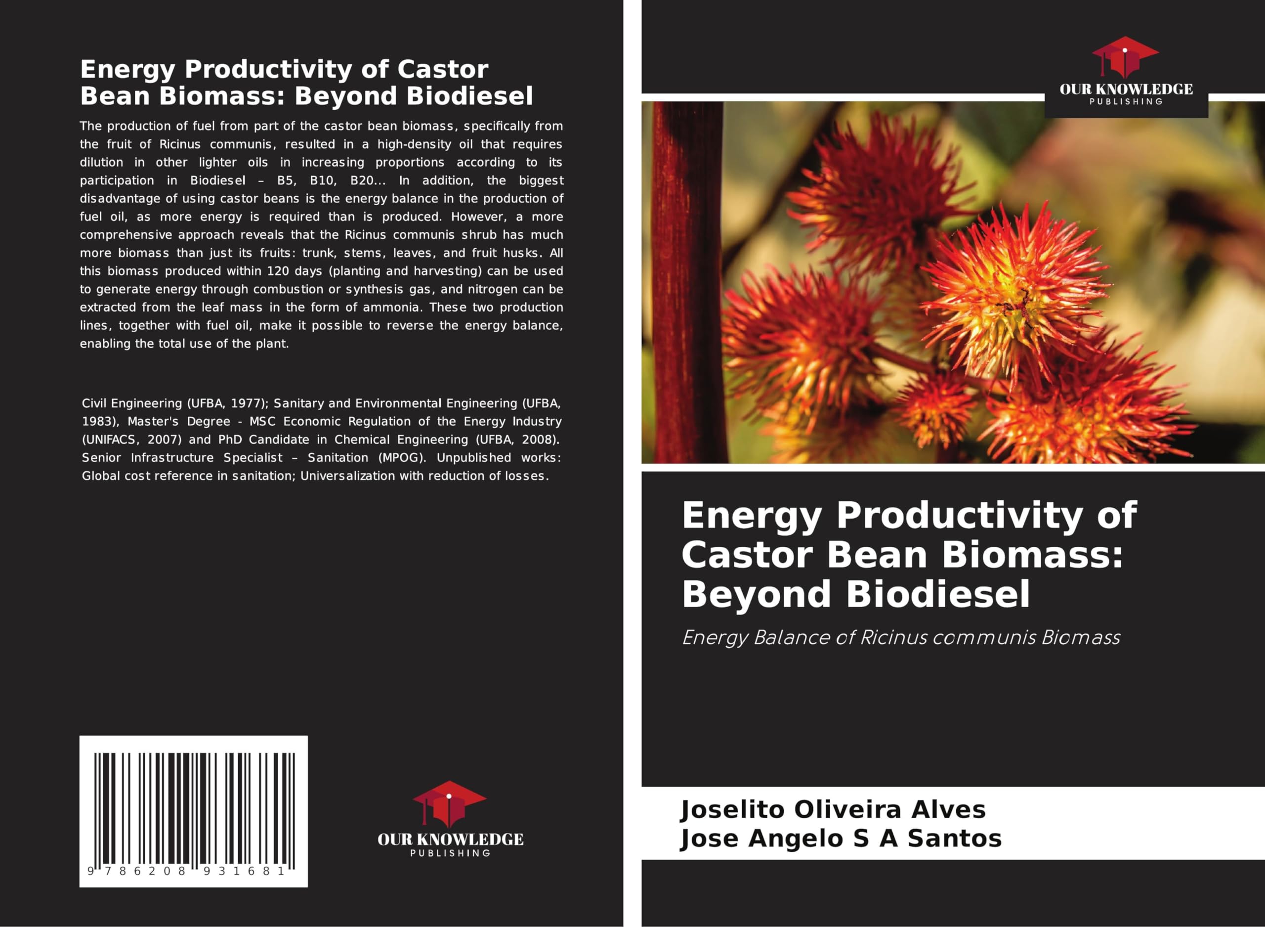 Energy Productivity of Castor Bean Biomass: Beyond Biodiesel Business & Technology