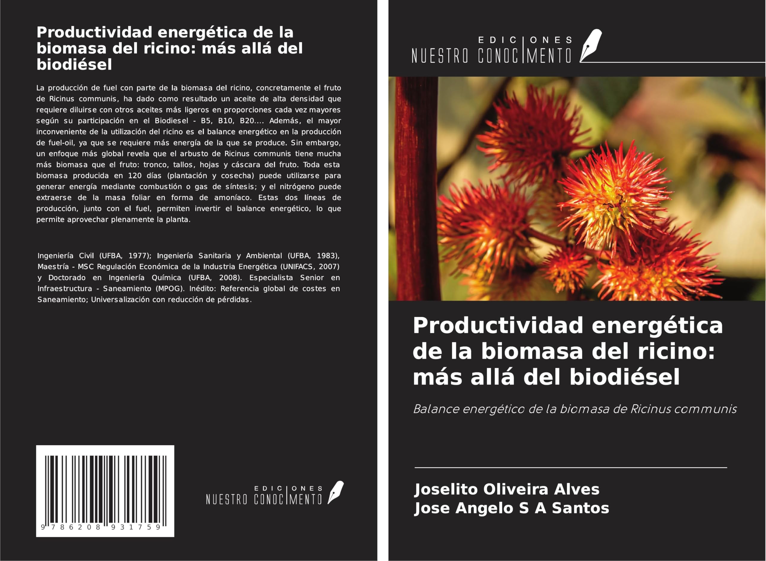 Productividad energética de la biomasa del ricino: más allá del biodiésel Business & Technology