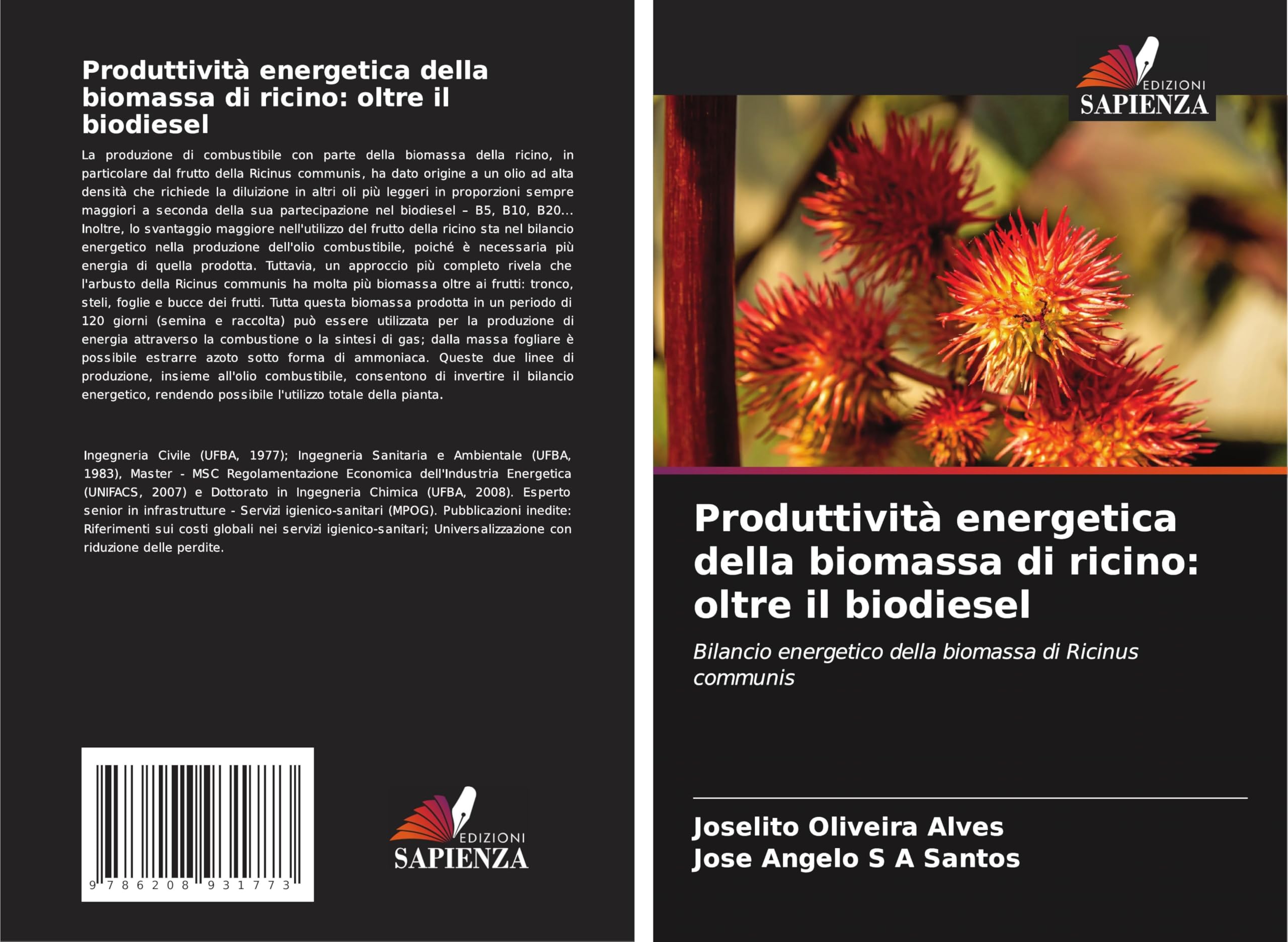 Produttività energetica della biomassa di ricino: oltre il biodiesel Business & Technology