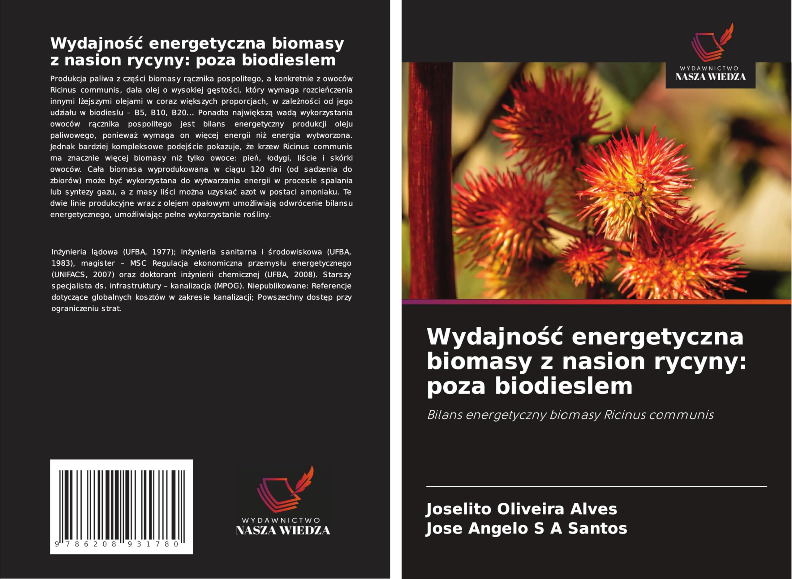 Wydajno¿¿ energetyczna biomasy z nasion rycyny: poza biodieslem Business & Technology