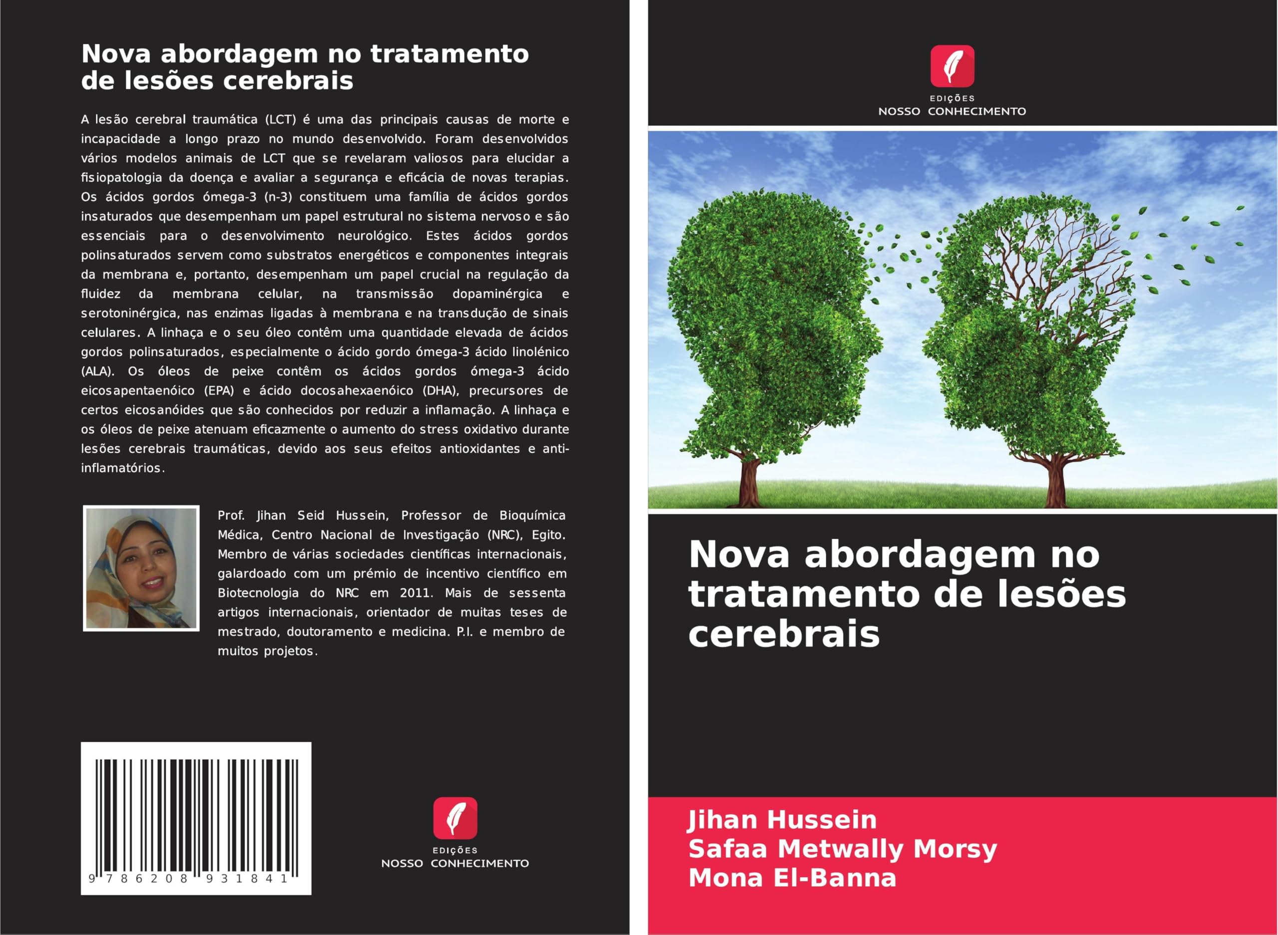 Nova abordagem no tratamento de lesões cerebrais Natural Sciences