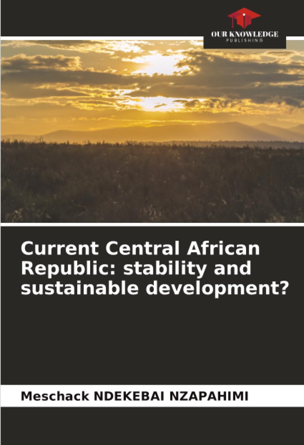 Current Central African Republic: stability and sustainable development? Law