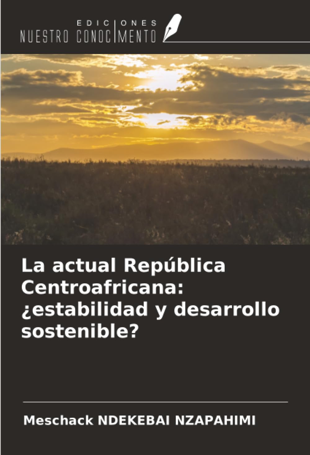 La actual República Centroafricana: ¿estabilidad y desarrollo sostenible? Law